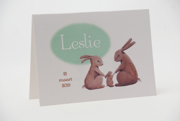 geboortekaartje leslie lichtgroen